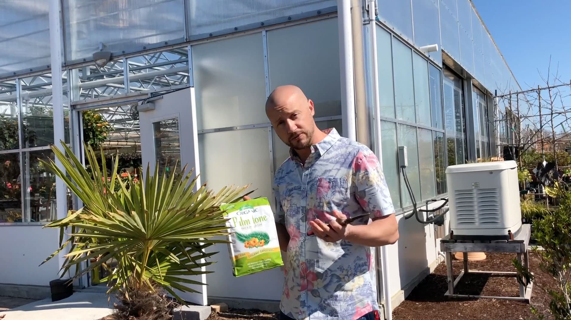 #askAndersons Palm Tree Care Instructions